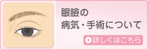 眼瞼の病気・手術について